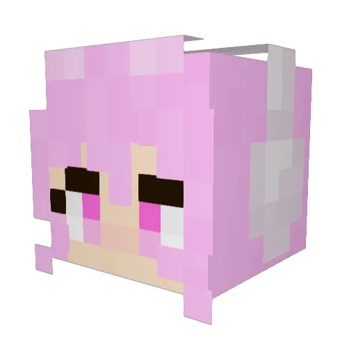 HiddenFeline Minecraft avatar head, 3D render