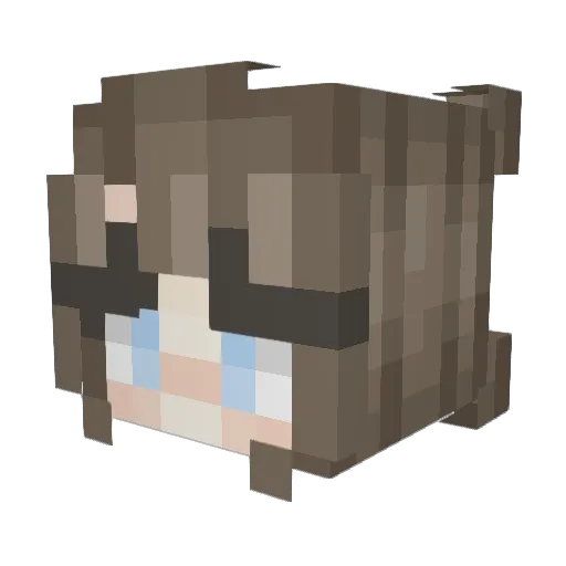 HiddenFlerken Minecraft avatar head, 3D render