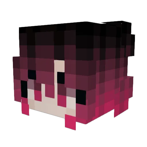 HiddenLifeS Minecraft avatar head, 3D render