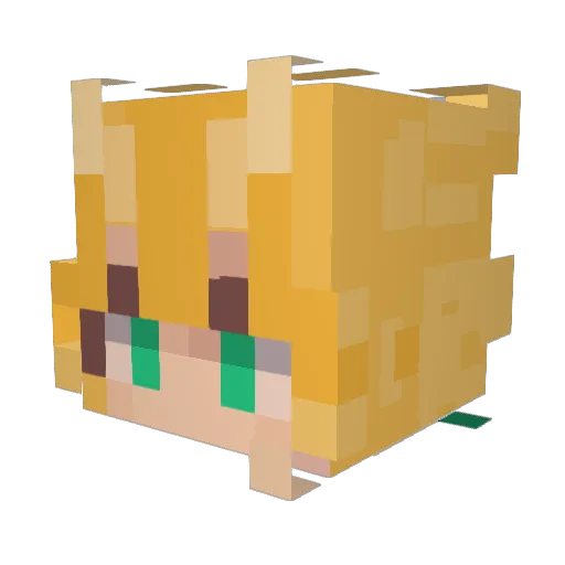 HiddenLight221 Minecraft avatar head, 3D render