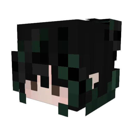 HiddenMoon20 Minecraft avatar head, 3D render