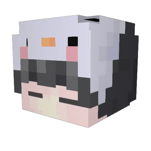HiddenO2 Minecraft avatar head, 3D render