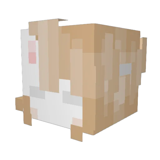 HiddenRabbit Minecraft avatar head, 3D render