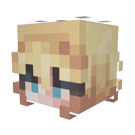 Minecraft-Avatar von HiddenSilence: Kopf als 3D-Render