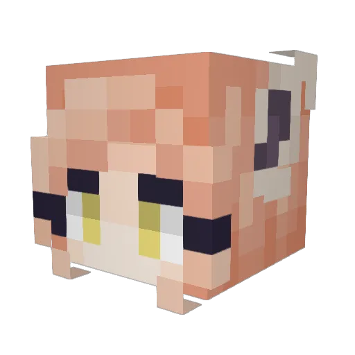 HiddenSugar Minecraft avatar head, 3D render