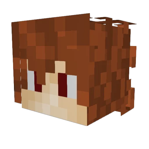 HiddenTLR Minecraft avatar head, 3D render