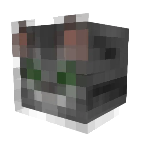 HiddenTalents Minecraft avatar head, 3D render