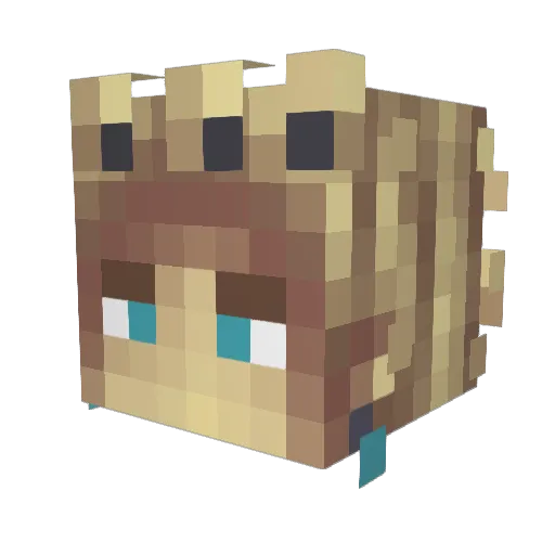 HiddenToad Minecraft avatar head, 3D render