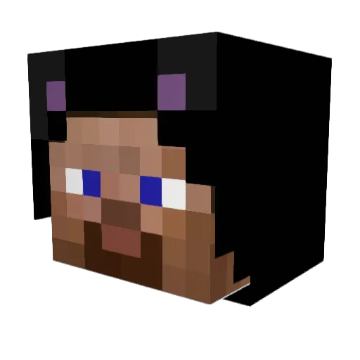 HiddenViod Minecraft avatar head, 3D render