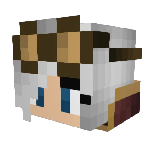 HiddenWarrior115 Minecraft avatar head, 3D render