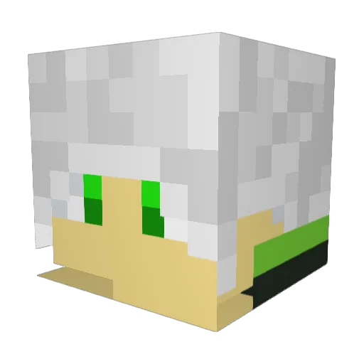 Hidden_Hunters Minecraft avatar head, 3D render