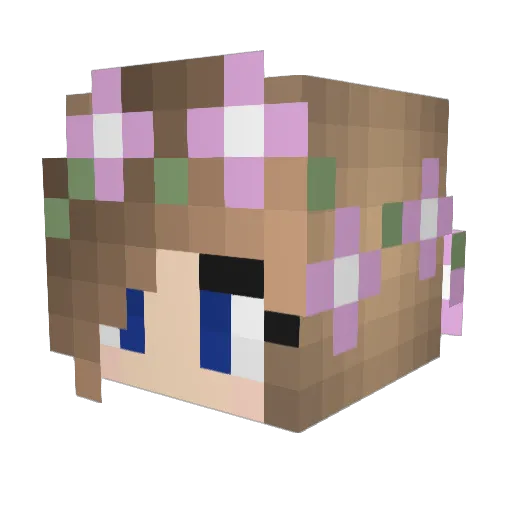 Hiddles_Giggles Minecraft avatar head, 3D render