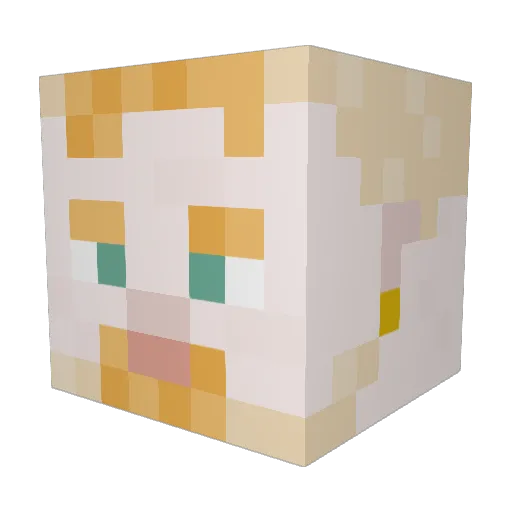 HiddnSquid Minecraft avatar head, 3D render