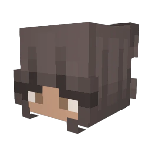 HideAndSleep Minecraft avatar head, 3D render