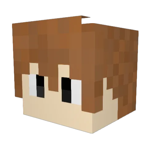 Hide_ Minecraft avatar head, 3D render