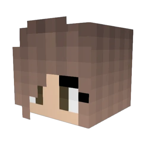 Hidegitsu Minecraft avatar head, 3D render