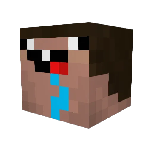 HidenFlaMe Minecraft avatar head, 3D render