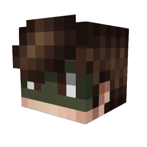 HideslnBushes Minecraft avatar head, 3D render
