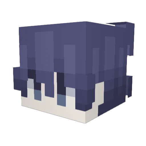 Hidexify Minecraft avatar head, 3D render