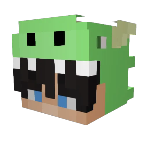 Hidman2000 Minecraft avatar head, 3D render
