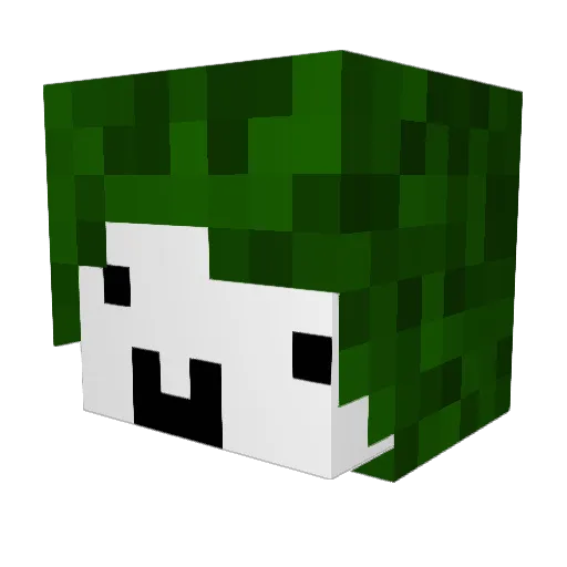 Hidsky Minecraft avatar head, 3D render