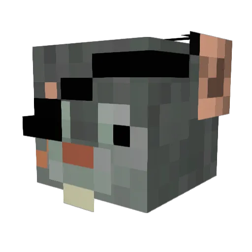 HieTheCat Minecraft avatar head, 3D render