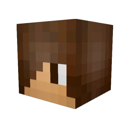 HierIsLol Minecraft avatar head, 3D render