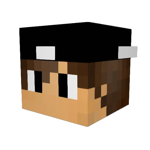 Higao Minecraft avatar head, 3D render