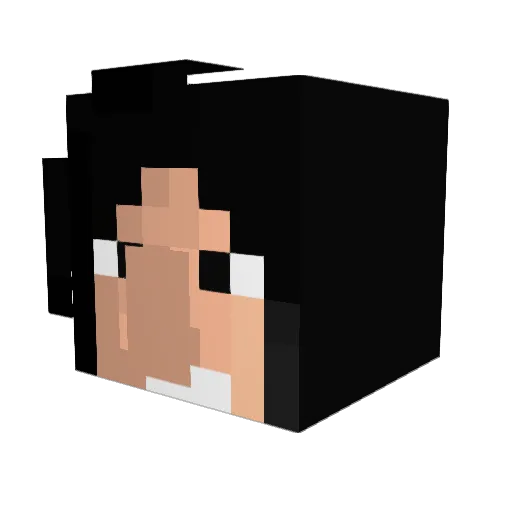 Higawind Minecraft avatar head, 3D render