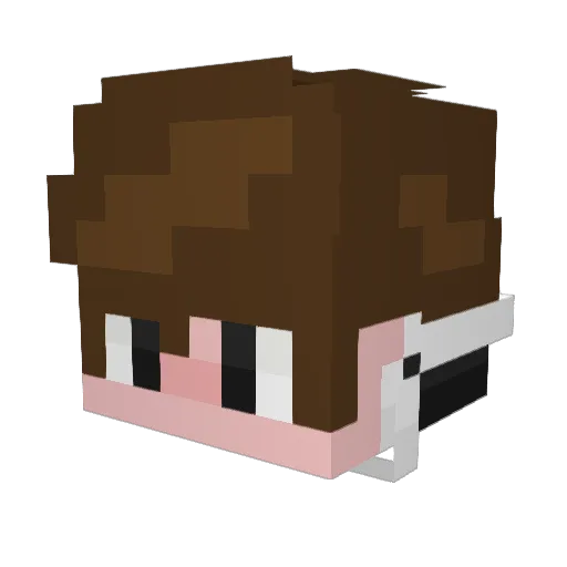 Higekii Minecraft avatar head, 3D render