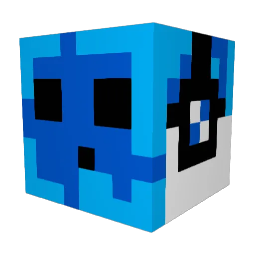 Higglestein Minecraft avatar head, 3D render