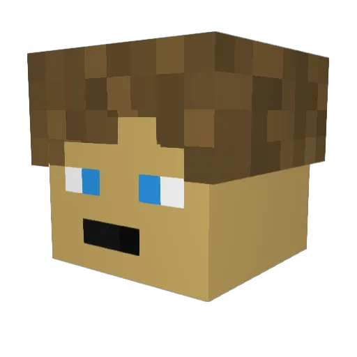 HiggonProduction Minecraft avatar head, 3D render