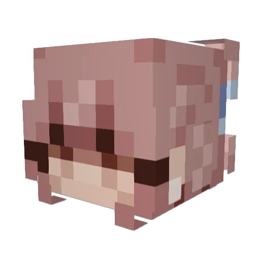 HighImJay_ Minecraft avatar head, 3D render