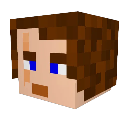 HighJack311 Minecraft avatar head, 3D render