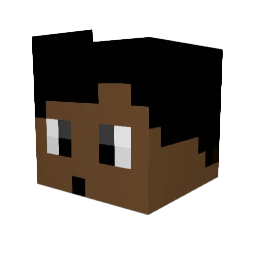 HighJacked Minecraft avatar head, 3D render