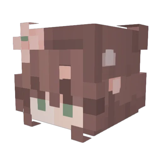 HighJive25 Minecraft avatar head, 3D render