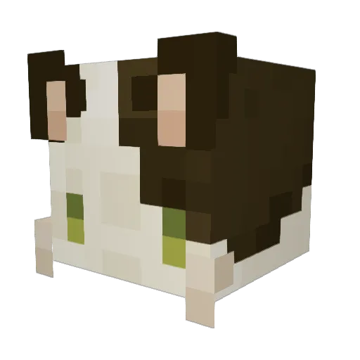 HighJoyRide Minecraft avatar head, 3D render