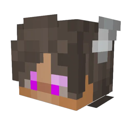 HighKingPeter Minecraft avatar head, 3D render