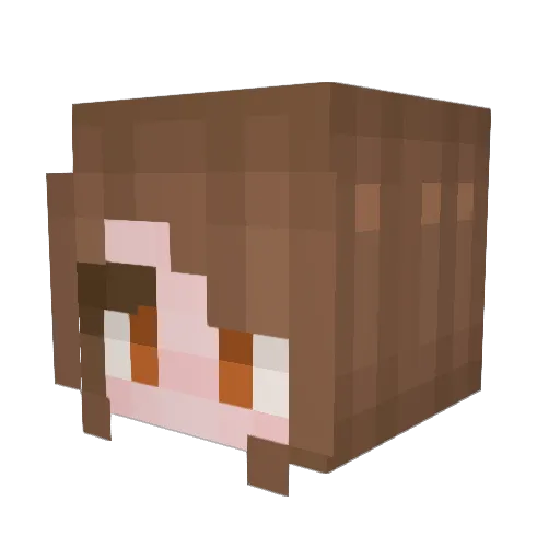HighLowPickleLow Minecraft avatar head, 3D render