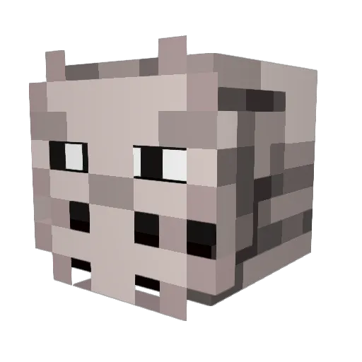 HighOnHappiness Minecraft avatar head, 3D render