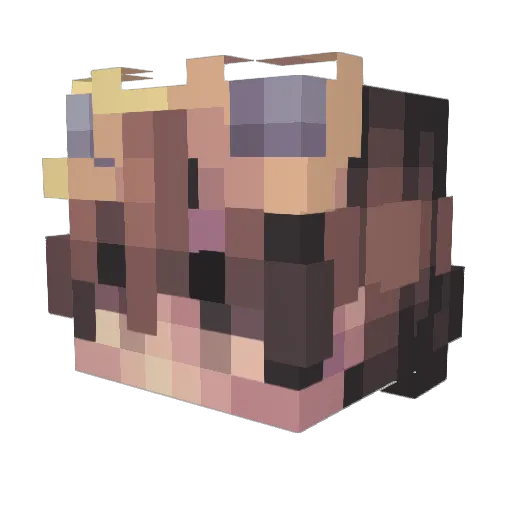 HighRVLE Minecraft avatar head, 3D render