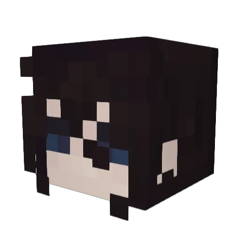 HighRiceCake Minecraft avatar head, 3D render