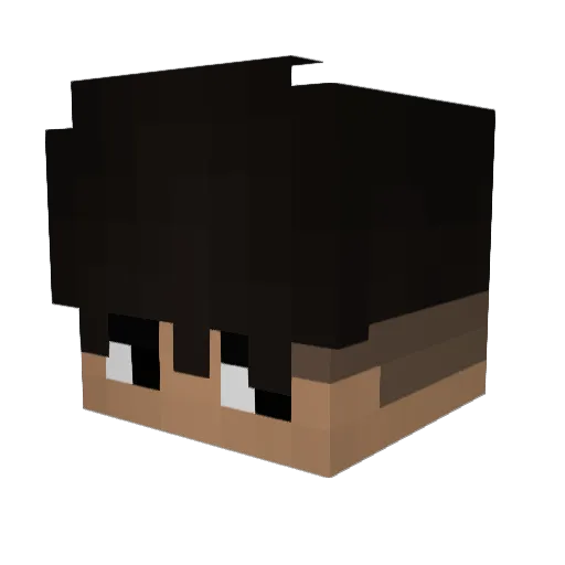 HighSeitIch3Bin_ Minecraft avatar head, 3D render