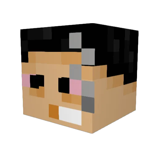 HighWaterPoint Minecraft avatar head, 3D render