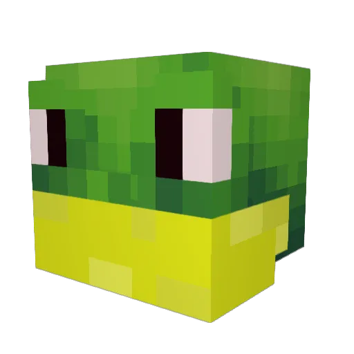 High_Frog Minecraft avatar head, 3D render