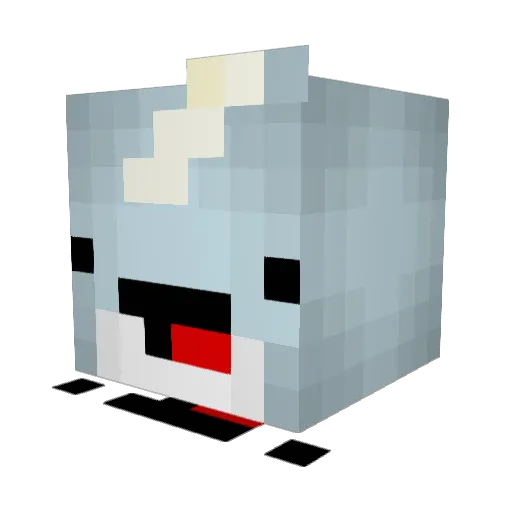 HighbrowNarwhal Minecraft avatar head, 3D render