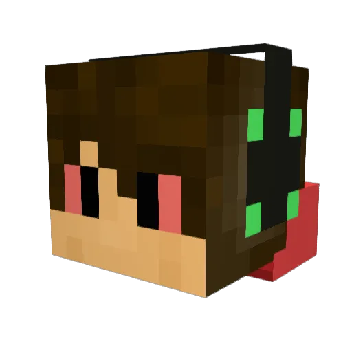 Higher_ Minecraft avatar head, 3D render