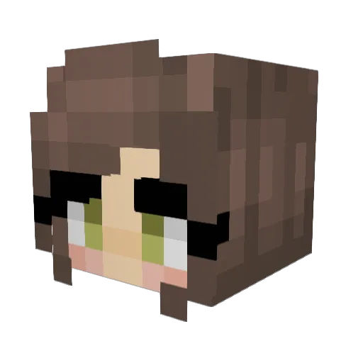 HighfieldCharlie Minecraft avatar head, 3D render