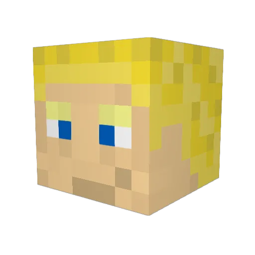 Highjacker991 Minecraft avatar head, 3D render