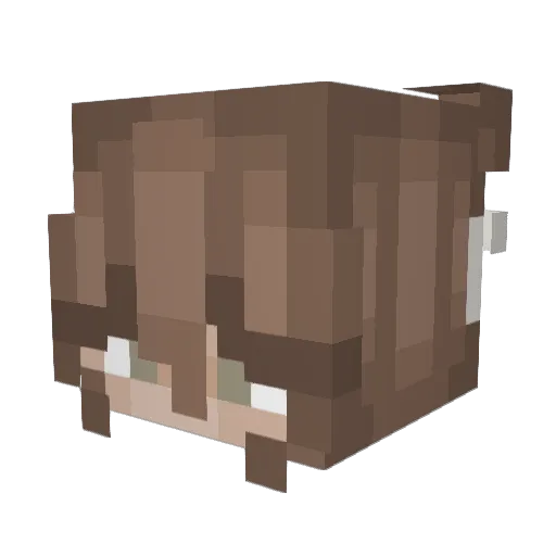 Highlander059 Minecraft avatar head, 3D render